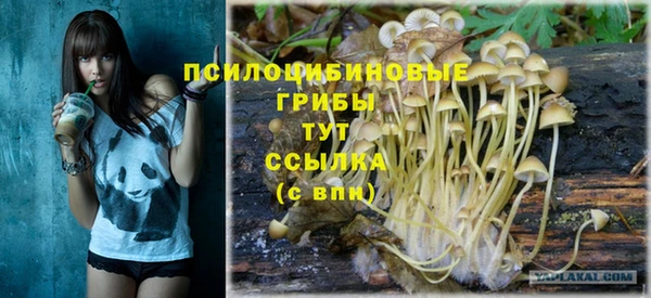 твердый Протвино