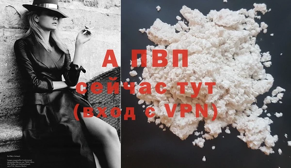 стафф Навашино